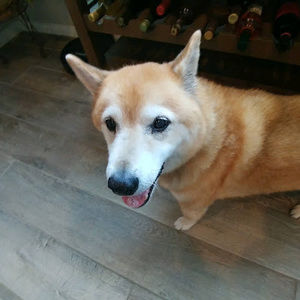 Meet your Posher, Marco